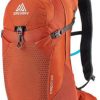 Hiking Backpacks * | Shop Gregory Citro 24 H2O Hydration Pack Men'S